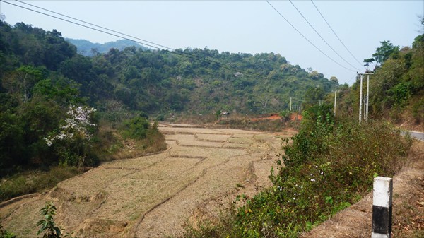 Рисовое поле сухое